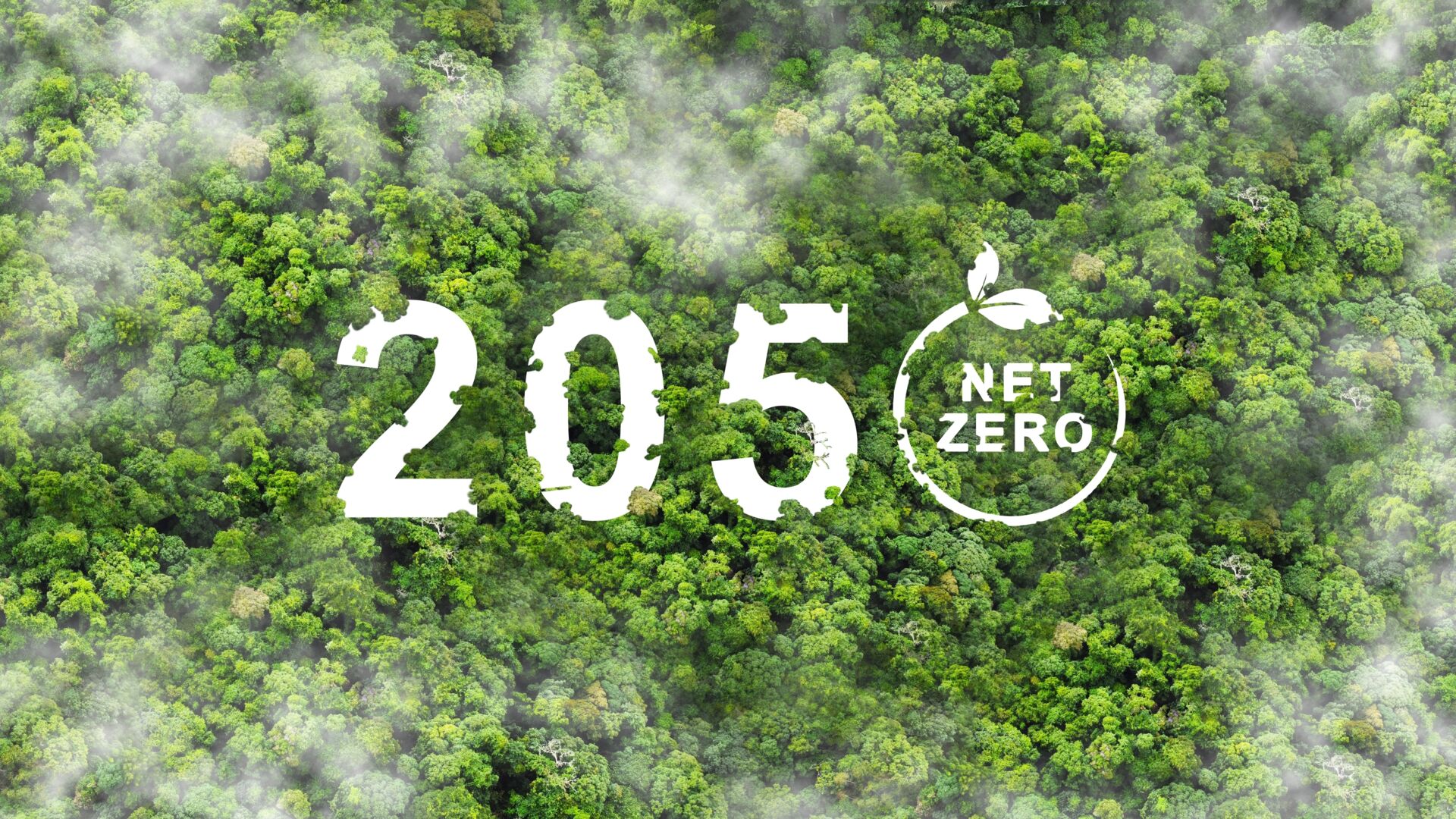Net Zero by 2050